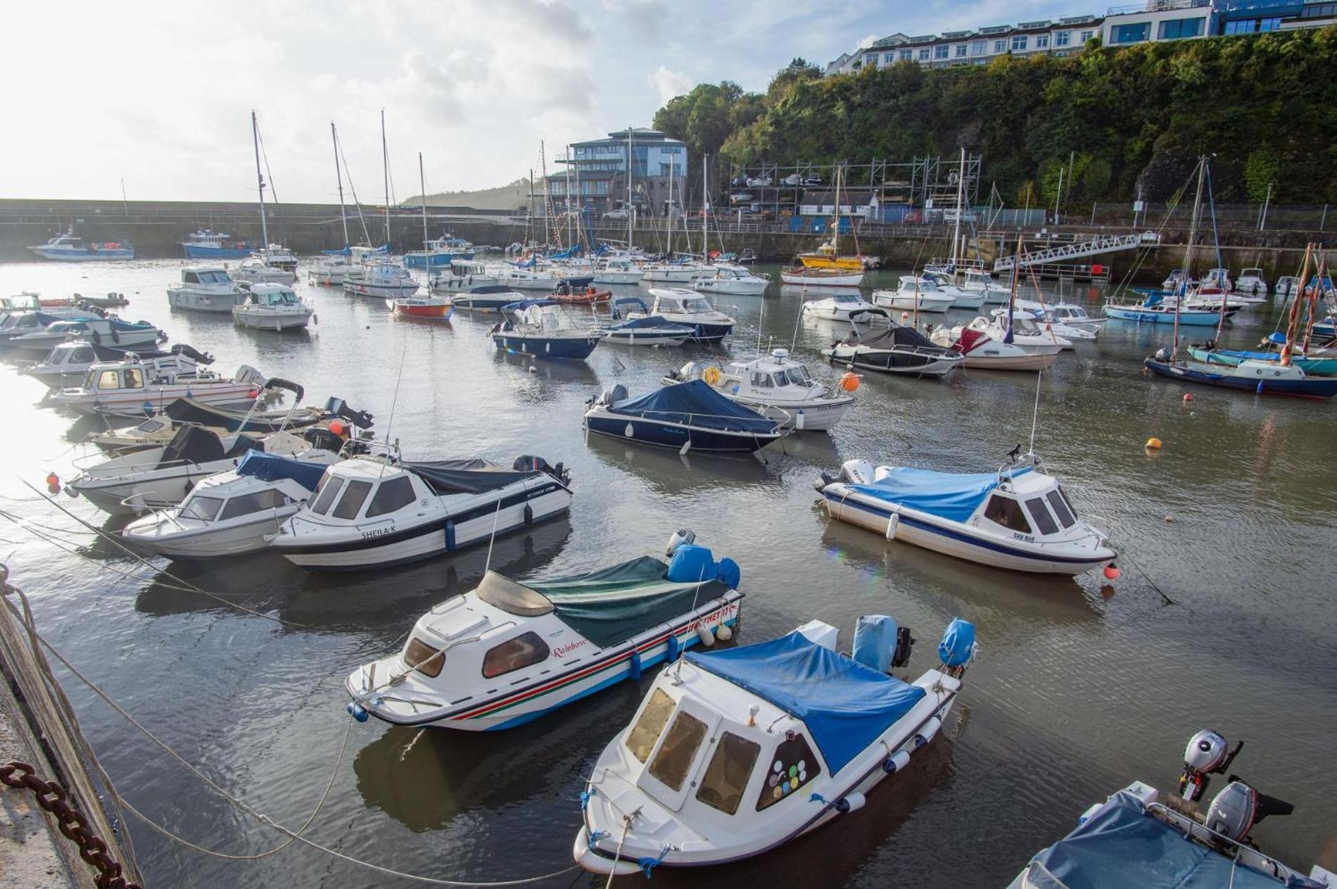 Ocean Cabins No 3 At The Square - Saundersfoot Ruang foto