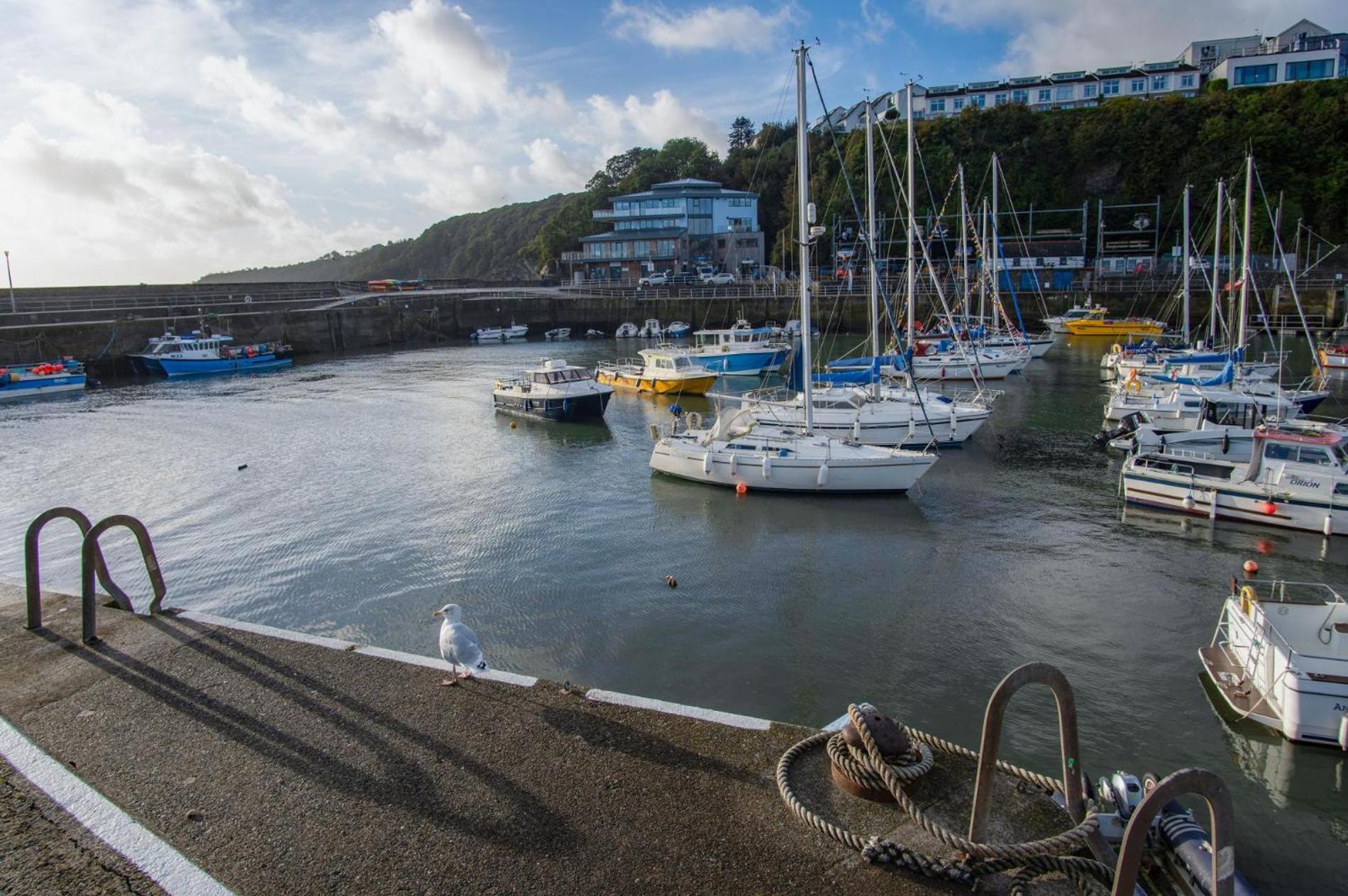 Ocean Cabins No 3 At The Square - Saundersfoot Ruang foto